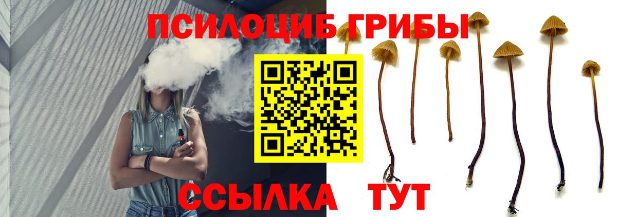 Псилоцибиновые грибы Cubensis  Вход с VPN  Белово 